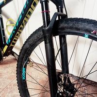 bici mtb torpado ribot carbonio