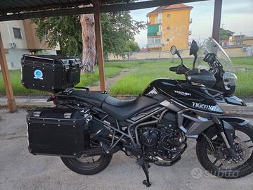 Triumph Tiger 800 xrx