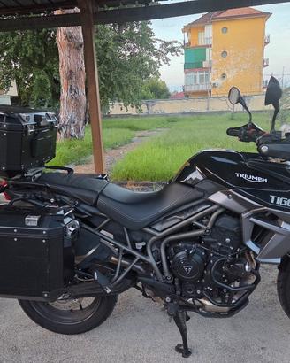 Triumph Tiger 800 xrx