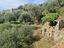 Immagine 13