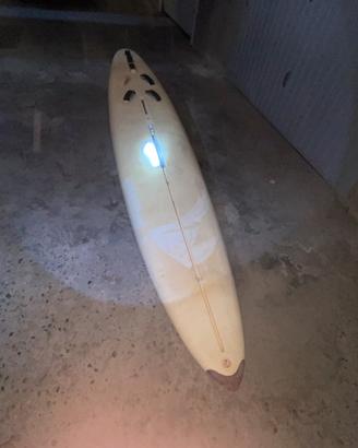 Windsurf d’epoca Longboard Mistral