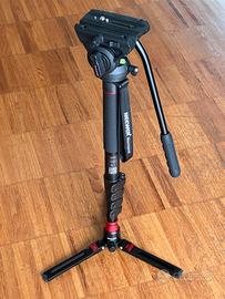 Monopiede con testa fluida per videocamera