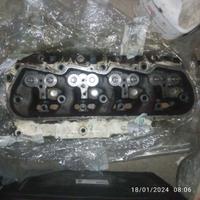 Cat Nautica Testate 3208 V8