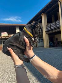 Una meraviglia vuole una famiglia