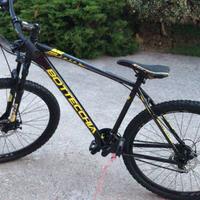 Bottecchia mtb 29”