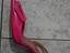 Immagine 5