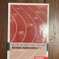 Analisi matematica 1 M Bramanti C Pagani S Salsa