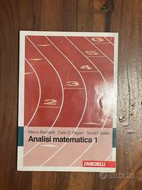 Analisi matematica 1 M Bramanti C Pagani S Salsa