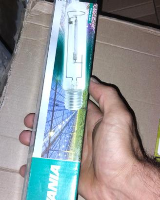 lampada hps 250w