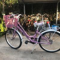 Bicicletta bambina Alpina