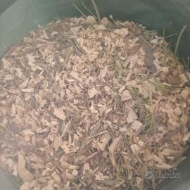 cippato per caldaie a biomassa 