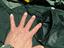 Immagine 5