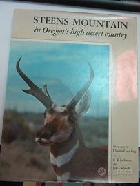 Panorami dell'Oregon steens mountain