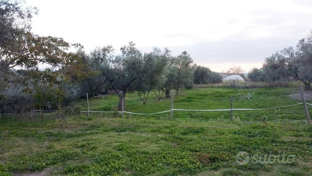 Terreno di 65 m² a Tuscania - Vista 5