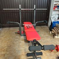 Panca Piana e Inclinabile con pesi manubri e bil.