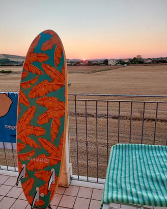 tavola surf bambini 