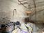 Immagine 26