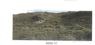 Terreno Agricolo Carbonia [A4310413]