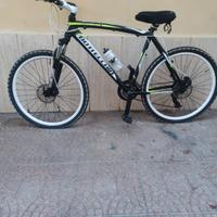 bici bottecchia