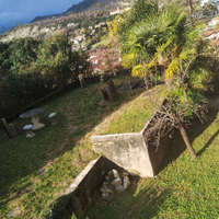 Pensione per cani Personalizzata