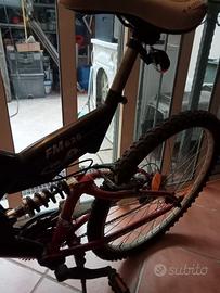 bicicletta mai usata 