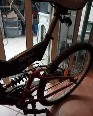 bicicletta mai usata 