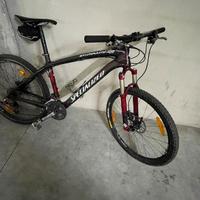Mtb Specialized