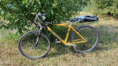 mountain bike specialized
