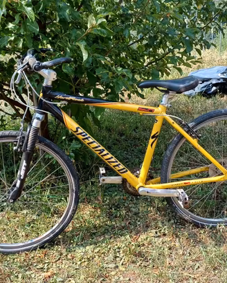 mountain bike specialized