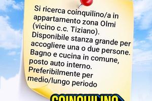 Stanza in zona c.c. Tiziano - Olmi (TV)