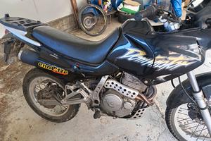 Honda dominator 