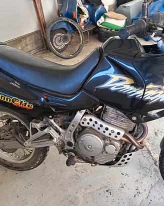 Honda dominator 
