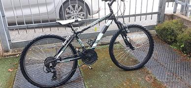 bicicletta ragazzo misura 24