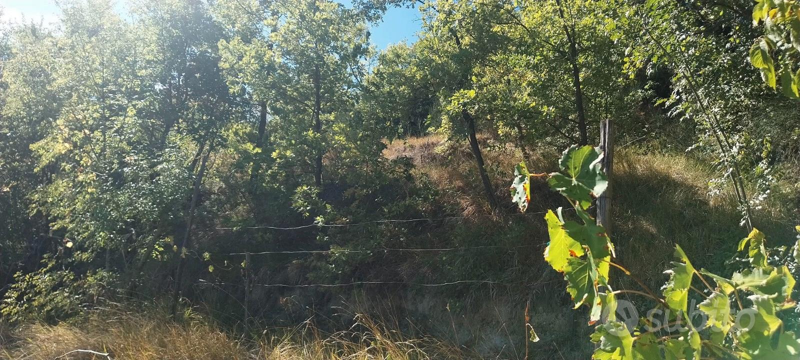 Terreno Agricolo con frutteto e fabbricati - Vista 3