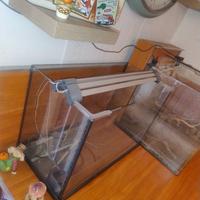 acquario 60 litri