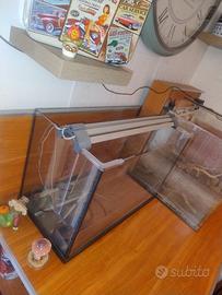 acquario 60 litri
