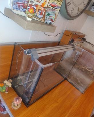 acquario 60 litri