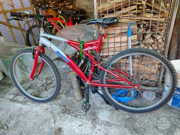 bicicletta