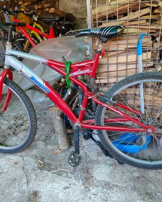 bicicletta