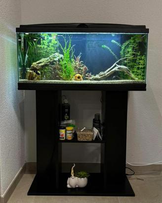 Acquario 80lt