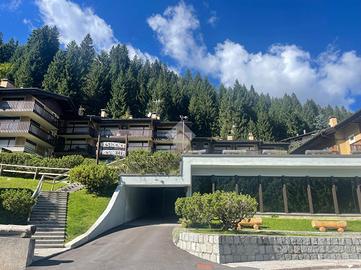 MONOLOCALE A PINZOLO