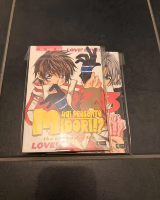 Hai presente Midori?