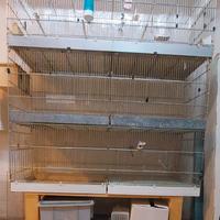 3 gabbie da cova da 120cm con carrello e accessori