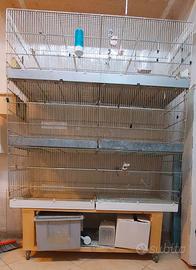 3 gabbie da cova da 120cm con carrello e accessori