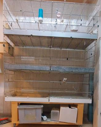 3 gabbie da cova da 120cm con carrello e accessori