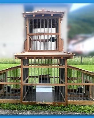 Gabbia per Uccelli in Legno di Noce