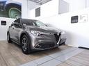alfa-romeo-stelvio-stelvio-2-2-turbodiesel-160-c
