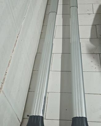 staffe tetto auto portapacchi