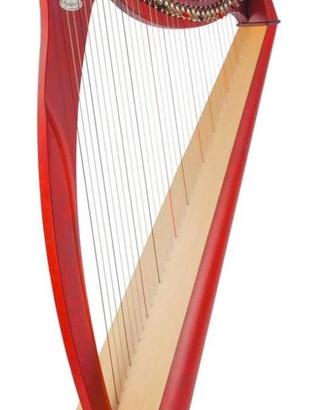 Arpa Salvi modello Mia 34 corde