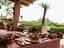 Immagine 15